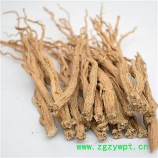 党参 党参特级中条 直径0.6cm-0.8cm 3年生上党参 无 产地 甘肃省陇南市市辖区图3