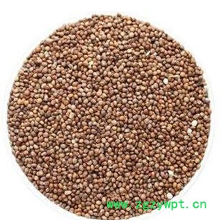 苏子 统 产地 安徽省亳州市谯城区图2