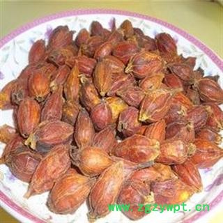 栀子 统 产地 浙江省金华市市辖区图3