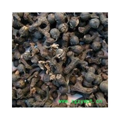 拐枣 统 产地 河北省保定市安国市