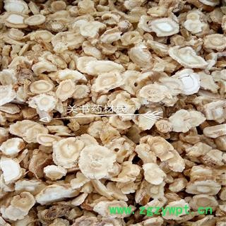 北沙参 北沙参 大片选   产地 河北省保定市市辖区图3