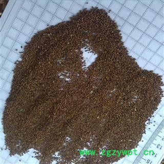 菟丝子 统 产地 内蒙古自治区包头市市辖区图2