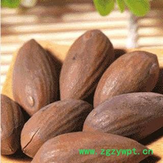 榧子 统 产地 云南省丽江市市辖区图2