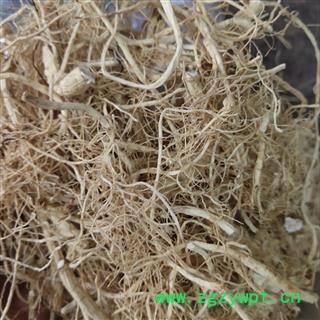 人参   4年以上 人参须 药房专柜 产地 吉林省四平市图3