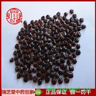 枳椇子统货 福建枳椇子 药典正品 中药材 瑞芝堂产地直供1000克 规格齐全 一站购齐图3