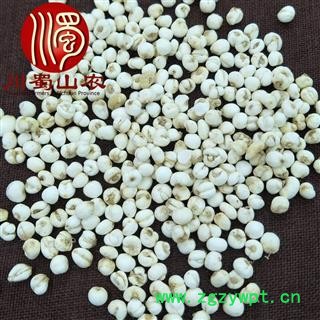 平贝母选货散装1公斤起批吉林产地直供贝母川蜀山农中药材批发图4