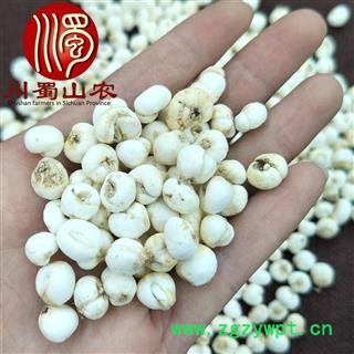 平贝母选货散装1公斤起批吉林产地直供贝母川蜀山农中药材批发图2