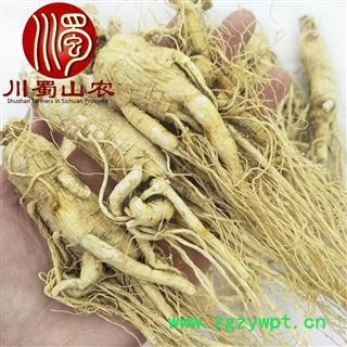 人参30支干货选货散装1公斤起批产地直供生晒参川蜀山农中药材批发图2