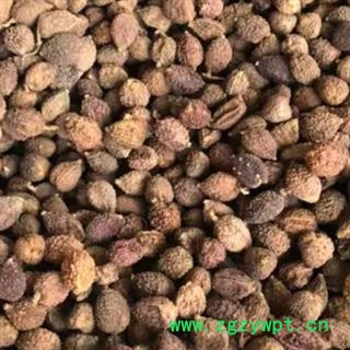中药材砂仁【壳砂】 本品有多个规格无硫春砂仁 手工精选 个头均匀饱满 干净无杂 原生态生晒 自然健康不添加 安国中药材批发零售大全图2