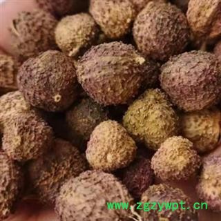 中药材砂仁【壳砂】 本品有多个规格无硫春砂仁 手工精选 个头均匀饱满 干净无杂 原生态生晒 自然健康不添加 安国中药材批发零售大全图3