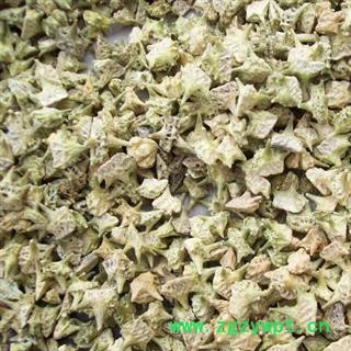 中药材蒺藜 去刺色青货 产地 内蒙古自治区  中药材蒺藜安国市场批发零售大全图2