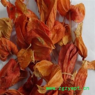 锦灯笼 锦灯笼统货 产地 河北省图2