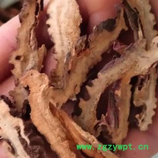中药材木瓜 皱木瓜片 本品为无硫新货 手工甄选 自然晾晒 干净无杂 绿色天然无农残 品质有保证 安国中药材批发零售大全图2