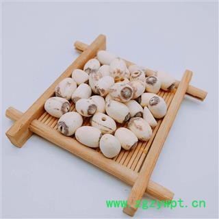 白莲子 食用白莲子磨皮抽芯统 产地山东图2