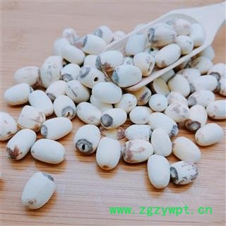 白莲子 食用白莲子磨皮抽芯统 产地山东图3