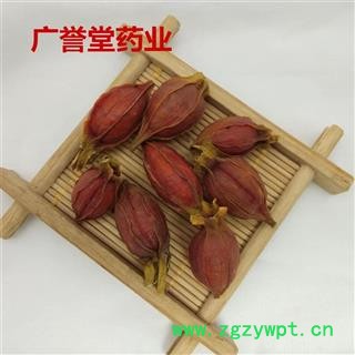 栀子 江西栀子统选今年新货 颜色红 无虫蛀无霉变 主流统货 假一赔十 产地 江西图3