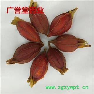 栀子 江西栀子统选今年新货 颜色红 无虫蛀无霉变 主流统货 假一赔十 产地 江西图4