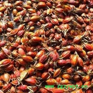 《满198包邮》栀子 统个 主流统货 产地 福建省图2