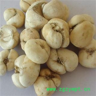 浙贝母 精选 大贝母 新货促销  产地 浙江省绍兴市市辖区图2