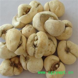 浙贝母 精选 大贝母 新货促销  产地 浙江省绍兴市市辖区图3