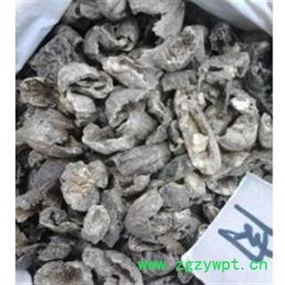 诃子肉 统 产地 云南省思茅市市辖区图2