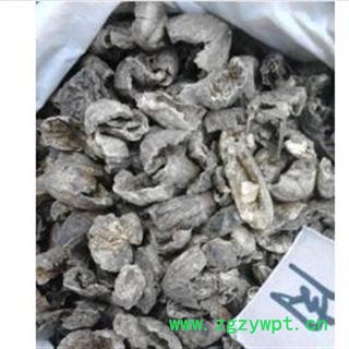 诃子肉 统 产地 云南省思茅市市辖区图3