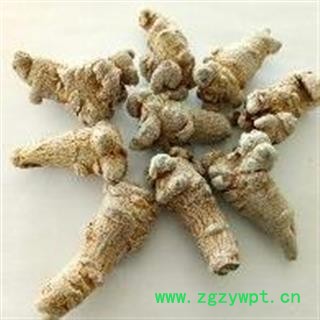 三七 三七80头 纯干 新货 水洗 产地 云南省文山壮族苗族自治州文山县图2