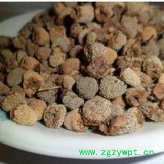 覆盆子 统 产地 浙江省金华市磐安县图3