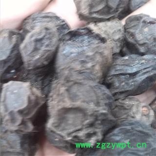 乌梅 统 产地 安徽省亳州市谯城区图3