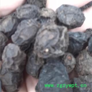 乌梅 统 产地 安徽省亳州市谯城区图2