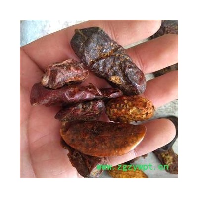 山土豆 赤包子 气包 赤瓟 山屎瓜 赤雹 敖鲁毛斯 统 产地 吉林省延边朝鲜族自治州延吉市