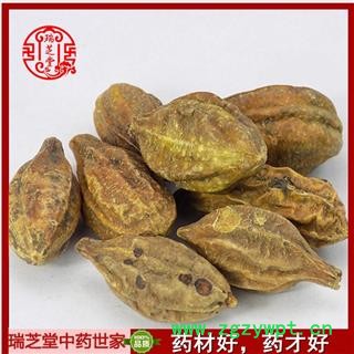 诃子选货 中药材大果选货 瑞芝堂产地直销1000g图3