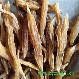 天冬 大天冬选货2.0 产地 广西壮族自治区贵港市图3