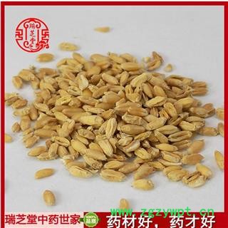 浮小麦统货 中药材浮麦瘪小麦浮小麦茶 经方集药材工坊250g 浮小麦250g图3