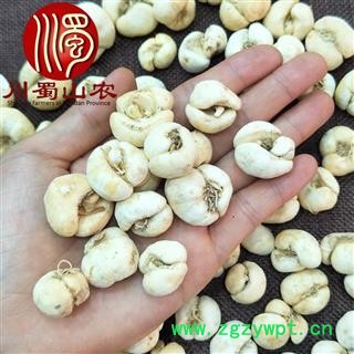 浙贝母个子无硫统货散装1公斤起批产地直供大贝川蜀山农中药材批发图4