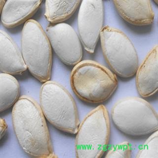 南瓜子 南瓜子统货 产地 河北省图2