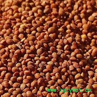 楮实子 中药材楮实子净货 产地 安徽省安国市场批发零售大全图2