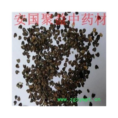 冬葵子 净货 产地 湖北省