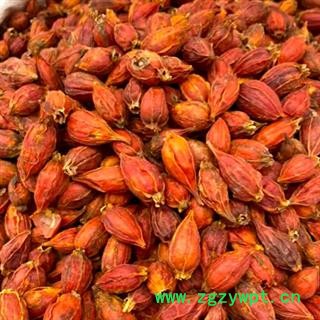 中药材栀子 有江西栀子和福建栀子两个规格 其江西栀子颜色更好看 本品为无硫栀子 个个新鲜饱满干净无杂 各大均匀 色泽纯正 无污染无添加 安国中药材批发零售大全图2