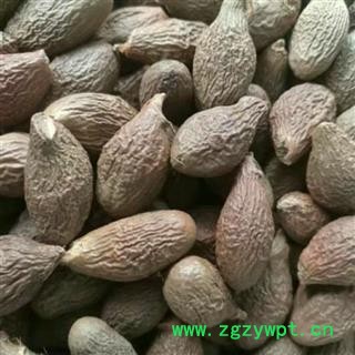 中药材胖大海长果 大海子 大洞果 大发 产地广西 安国中药材市场批发零售大全图2