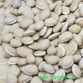 中药材白扁豆 进口白扁豆 白扁豆大粒 小粒白扁豆 安国市批发零售大全图3