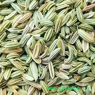 中药材小茴香 甘肃小茴香 小茴香药食两用 本品是产地直供无污染 精挑细选 品质优良 无硫新货 原色原味 无添加无杂质 色泽黄绿 品质有保证 安国中药材批发零售大全图4