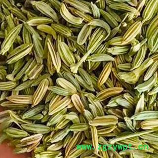 中药材小茴香 甘肃小茴香 小茴香药食两用 本品是产地直供无污染 精挑细选 品质优良 无硫新货 原色原味 无添加无杂质 色泽黄绿 品质有保证 安国中药材批发零售大全图2