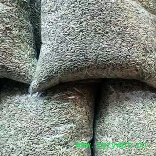 中药材小茴香 甘肃小茴香 小茴香药食两用 本品是产地直供无污染 精挑细选 品质优良 无硫新货 原色原味 无添加无杂质 色泽黄绿 品质有保证 安国中药材批发零售大全图3