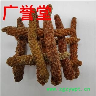 荜拨 统货 产地 广西壮族自治区图3