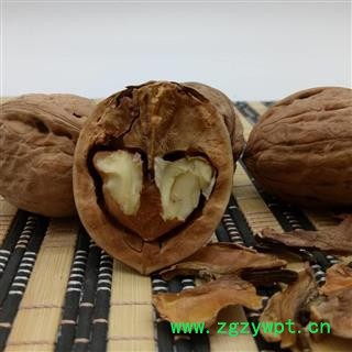 分心木 隔心木 核桃隔 核桃分心木 野胡桃 核桃夹衣无杂质图2