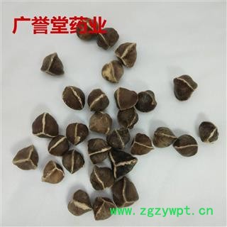 辣木籽印度进口辣木籽大个辣木子专注品质图4