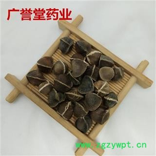 辣木籽印度进口辣木籽大个辣木子专注品质图2