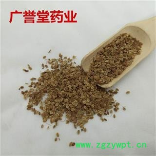 蛇床子 纯净货 选货 新货 纯干 无虫蛀 产地河南省图2