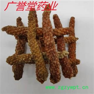 荜拨 统 产地 广西壮族自治区图3